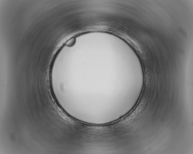 X0000110981192200907101403