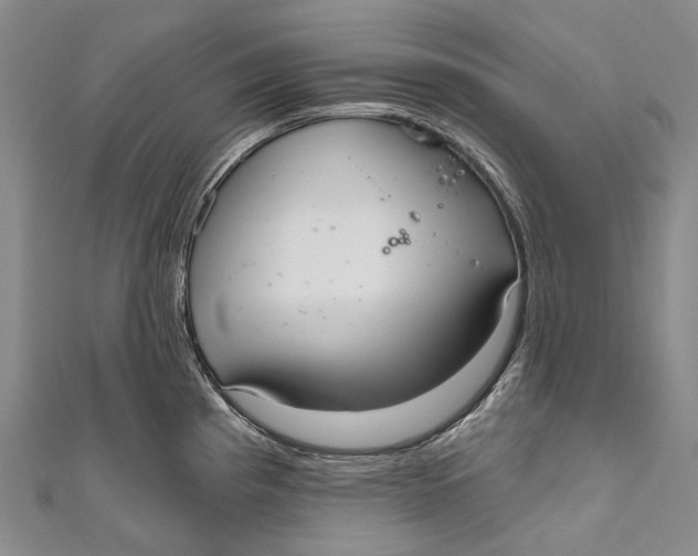 X0000110981193200907101403