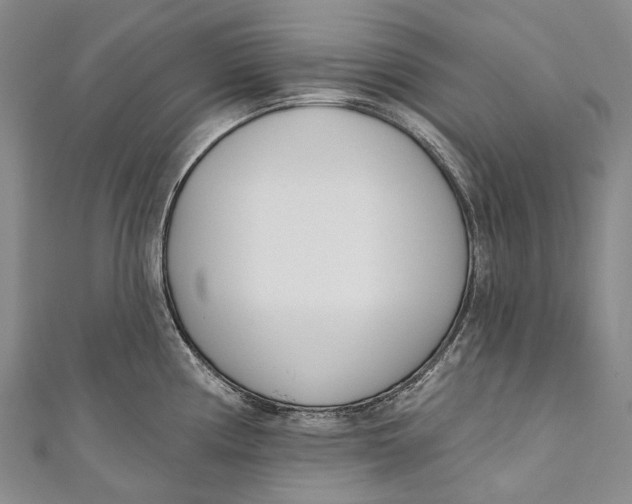 X0000110981194200907101403