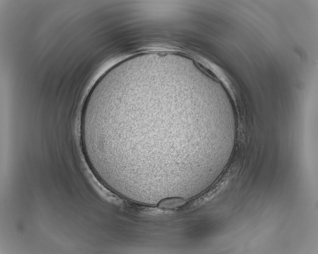 X0000110981195200907101403