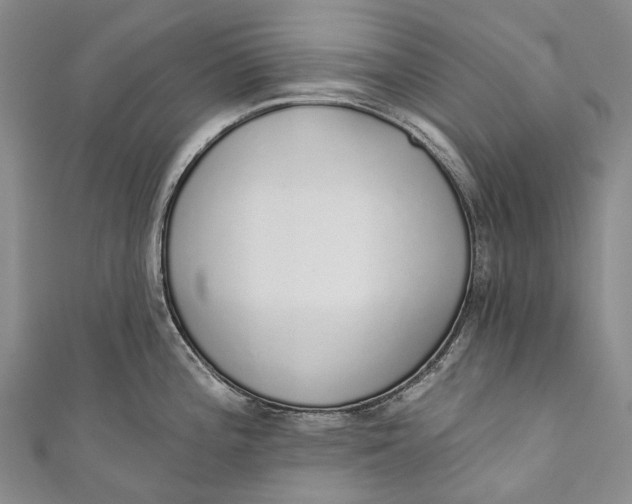 X0000110981196200907101403