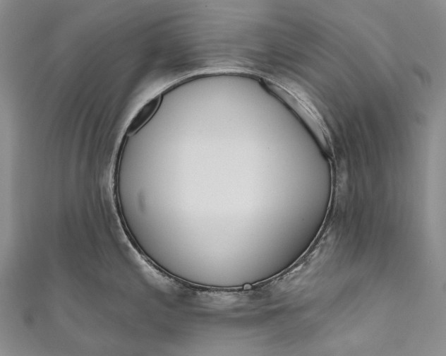 X0000110981197200907101403