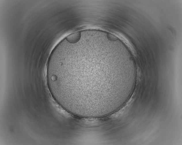 X0000110981198200907101403