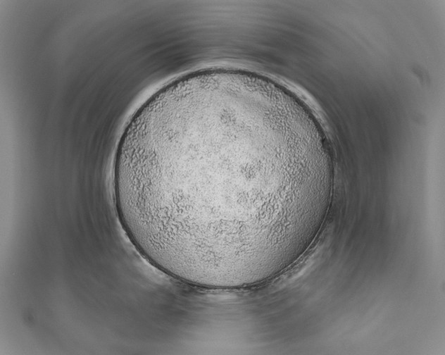 X0000110981199200907101403