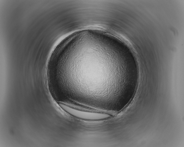 X0000110981200200907101403