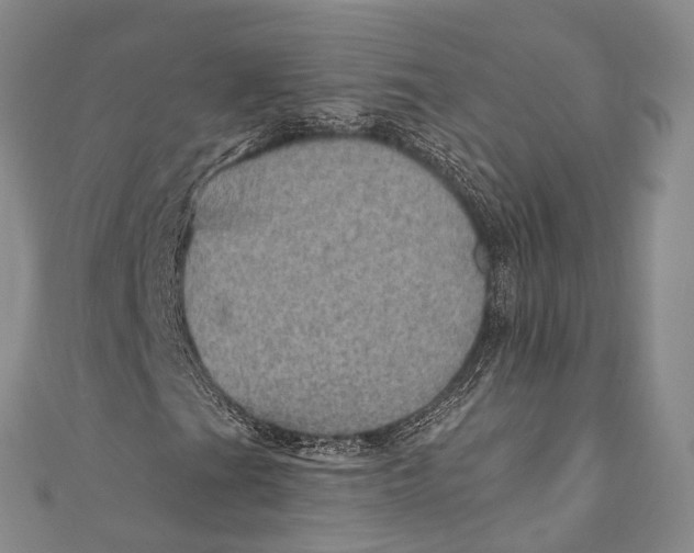 X0000110981201200907101402