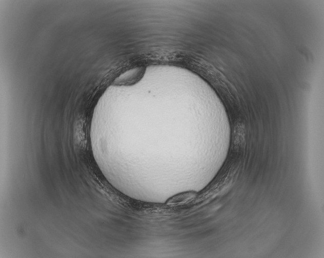 X0000110981202200907101402