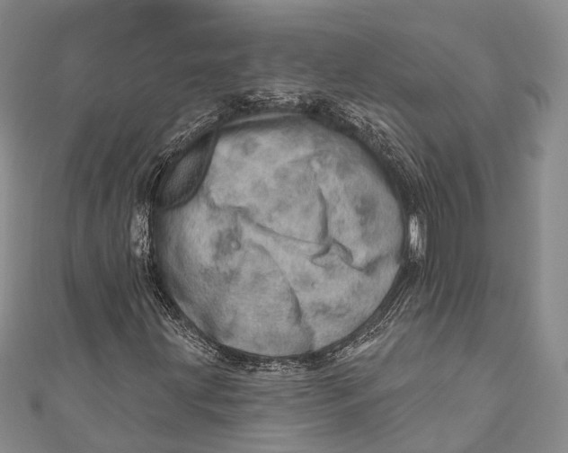 X0000110981203200907101402