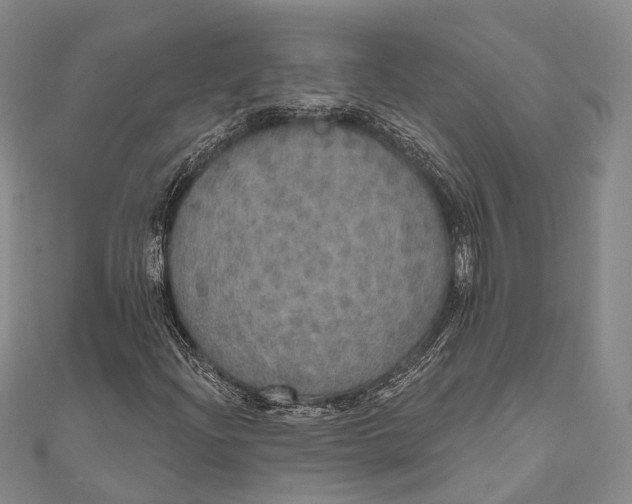 X0000110981204200907101402