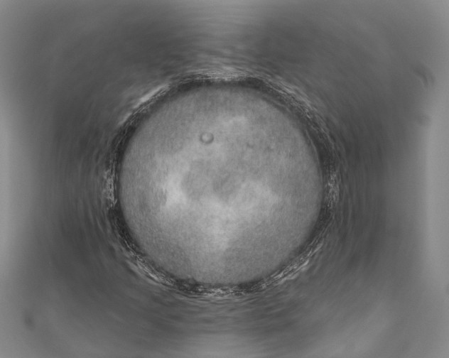 X0000110981205200907101402