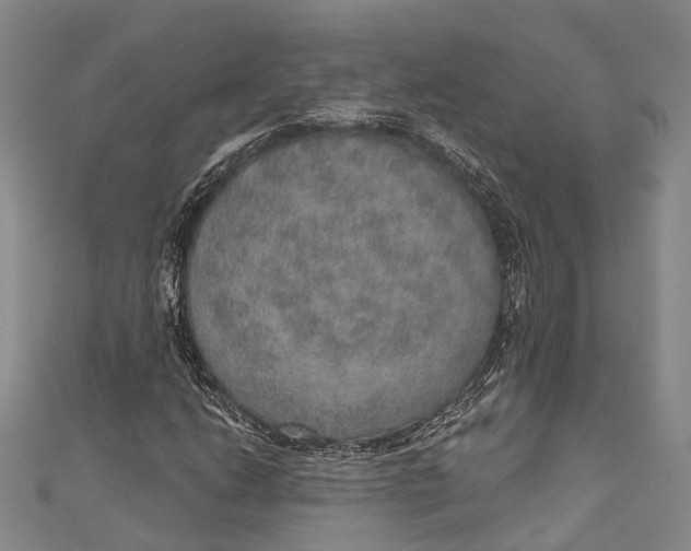 X0000110981206200907101402