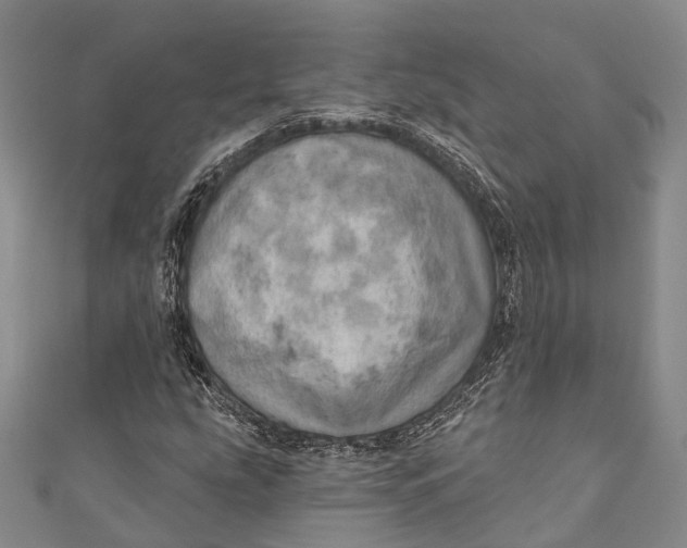 X0000110981207200907101402