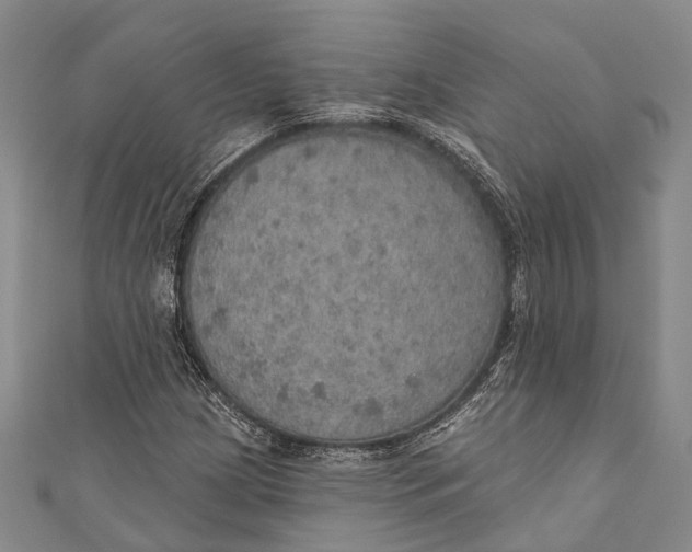 X0000110981209200907101402