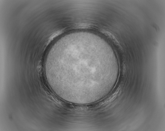 X0000110981210200907101402