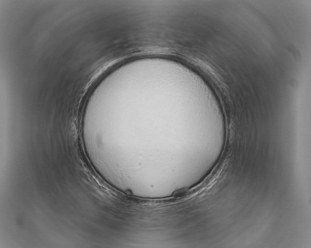 X0000110981212200907101402