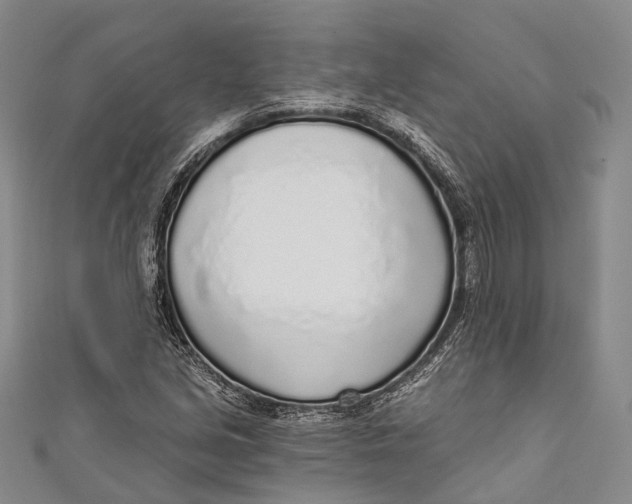 X0000110981213200907101402