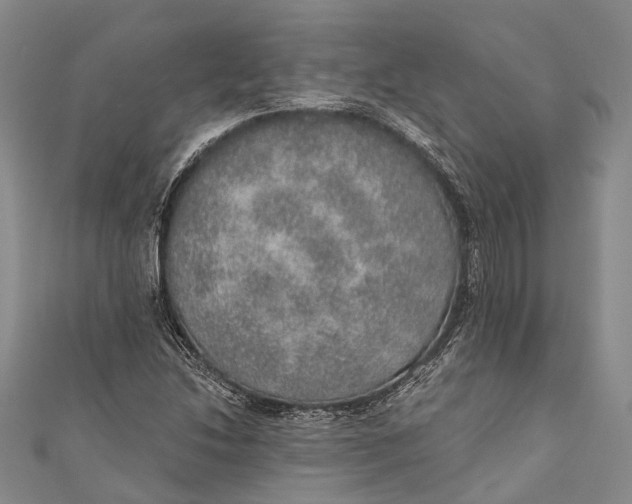 X0000110981214200907101402