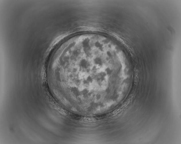 X0000110981215200907101402