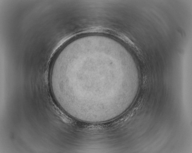 X0000110981216200907101403