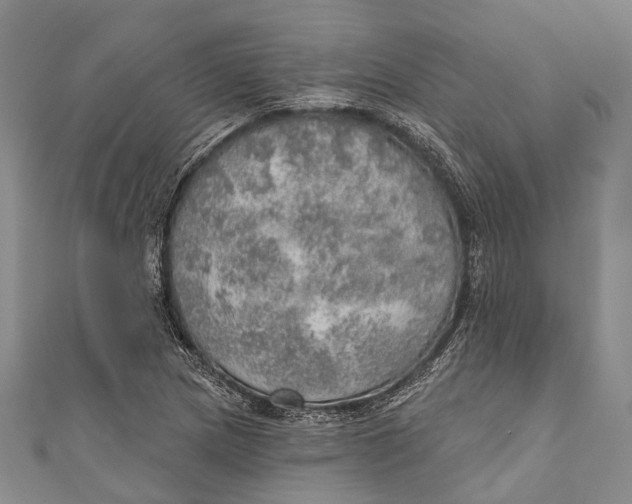 X0000110981217200907101403