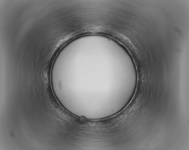 X0000110981218200907101403