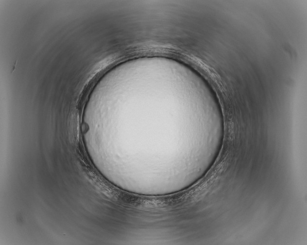 X0000110981219200907101403