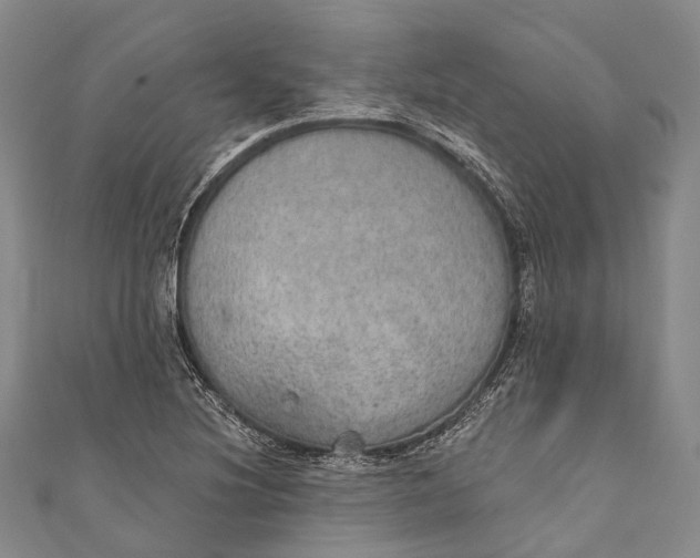 X0000110981220200907101403