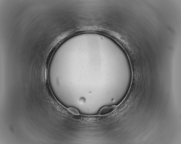 X0000110981221200907101403