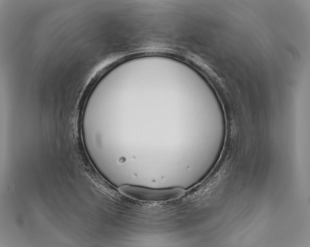 X0000110981222200907101403