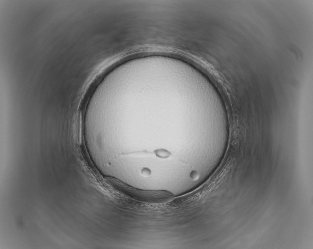 X0000110981223200907101403