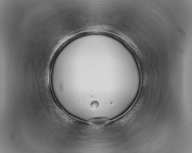 X0000110981224200907101403