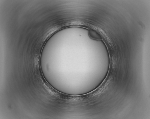 X0000110981225200907101403