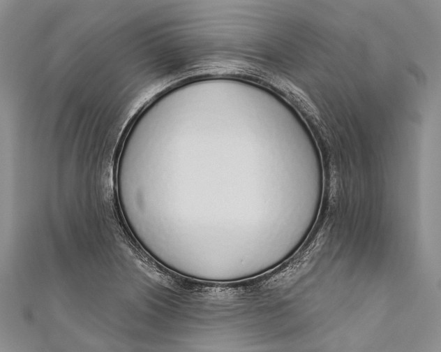 X0000110981226200907101403