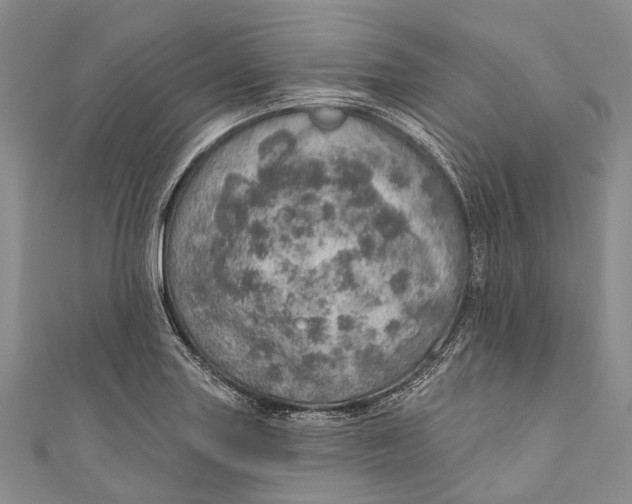 X0000110981227200907101403