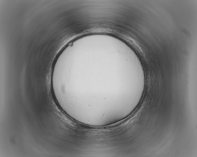 X0000110981228200907101403