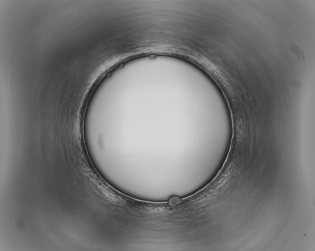 X0000110981230200907101403