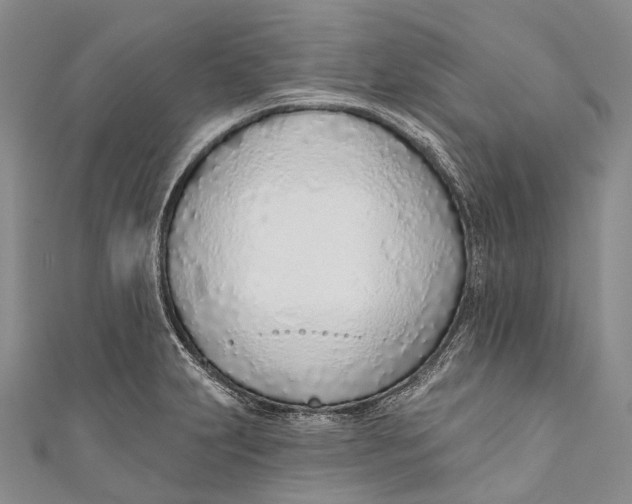 X0000110981231200907101403