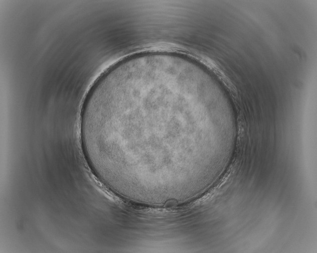 X0000110981232200907101403