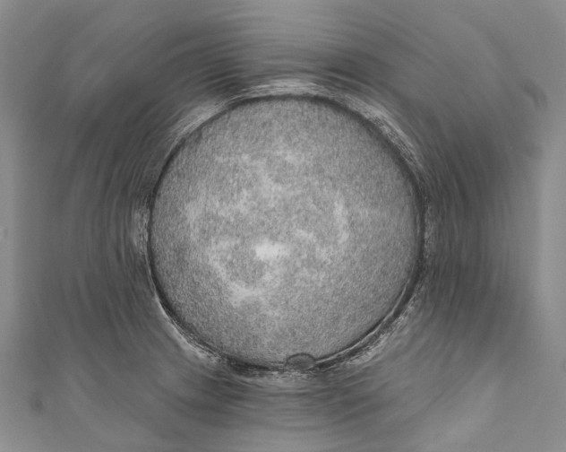 X0000110981233200907101403