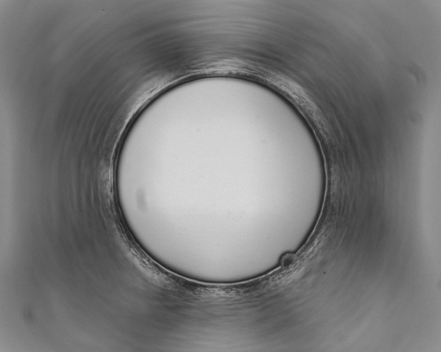 X0000110981234200907101403