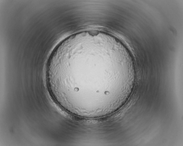 X0000110981235200907101403