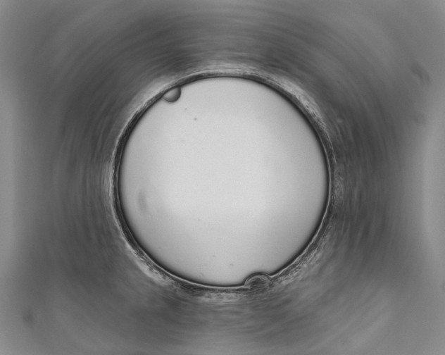 X0000110981237200907101403