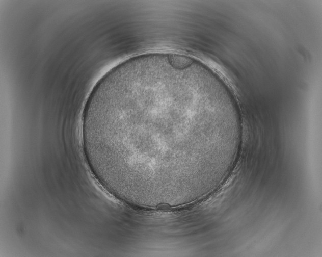 X0000110981238200907101403