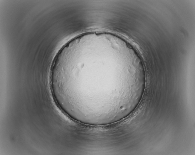 X0000110981239200907101403