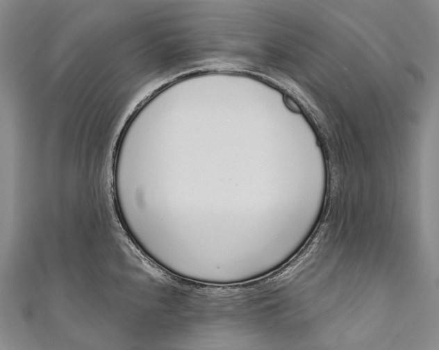 X0000110981240200907101403