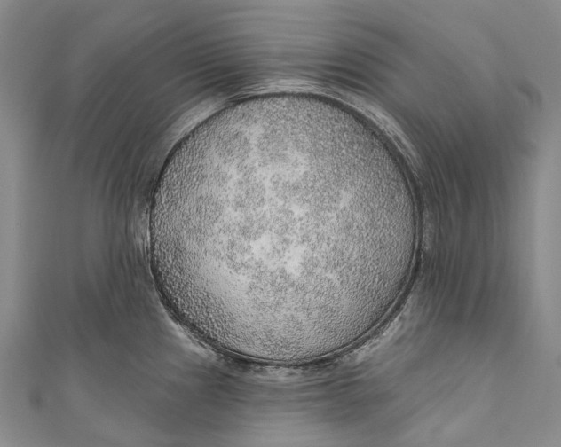 X0000110981241200907101403