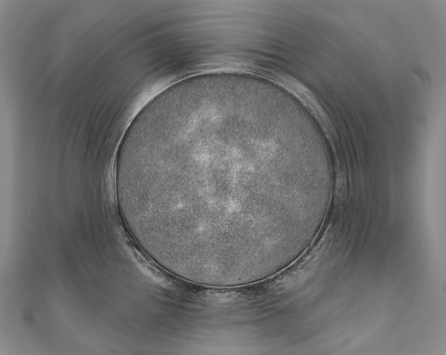 X0000110981242200907101403