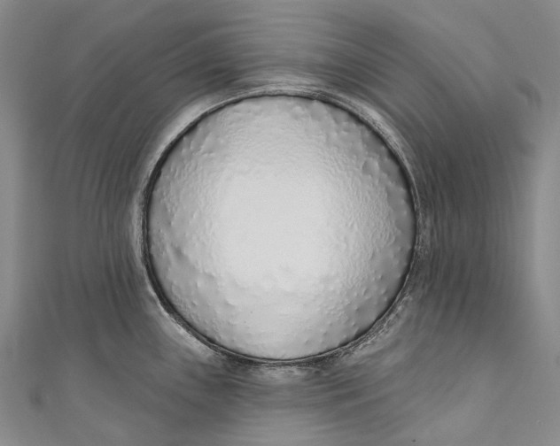 X0000110981243200907101403