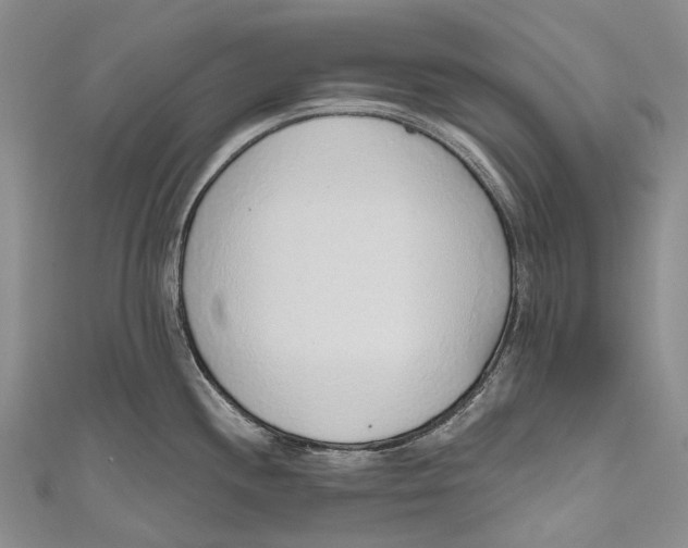 X0000110981244200907101403