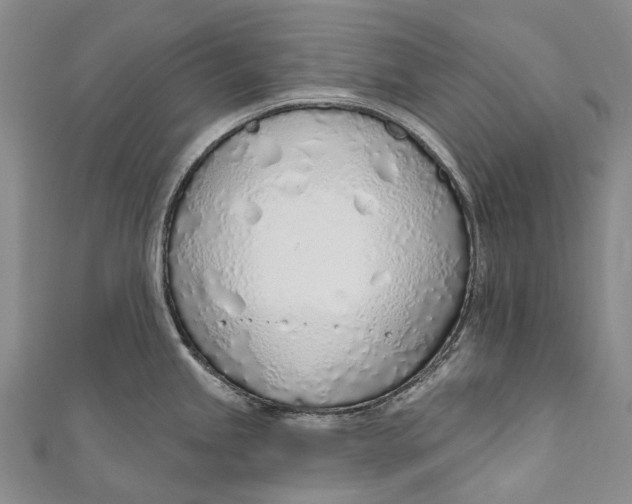 X0000110981245200907101403